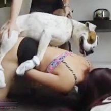 【獣姦動画】ミニスカの変態美女に発情した愛犬がバックで腰を振り続け大興奮！