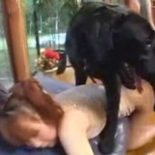 【獣姦動画】ロリギャルが犬のペニスをバックから生ハメピストンされ気持ちよくなっちゃう！