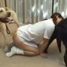 【獣姦動画】ツインテール女子校生が犬2匹のペニスを無我夢中でフェラしまくる！