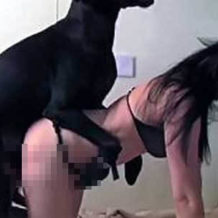 【獣姦】美女が犬にマンコを舐めさせバックで突かれまくる個人撮影されたアニマルセックス動画・・・　※無修正