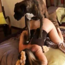 【獣姦動画】爆乳美女がバックで猟犬に突かれまくる　個人撮影されたアニマルセックス