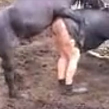 【無修正獣姦】お尻を突き出して立っている女性に馬が発情してデカマラを突き立てようとする！